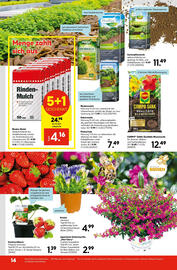 Hellweg Flugblatt woche 29 Seite 14
