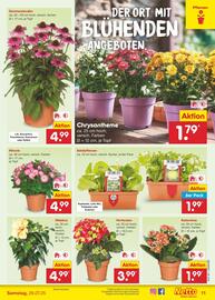 Netto Marken-Discount Prospekt woche 30 Seite 13
