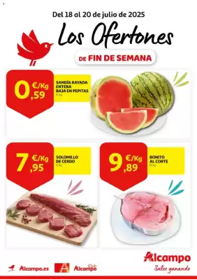 Folleto Alcampo (válido hasta el 20-07)