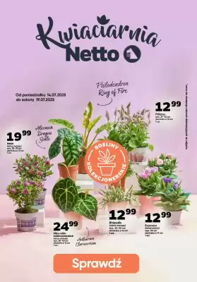 Netto gazetka (ważność do 19-07)