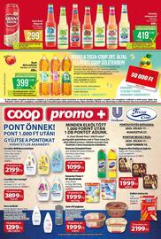 Coop akciós újság hét 29 Oldal 13