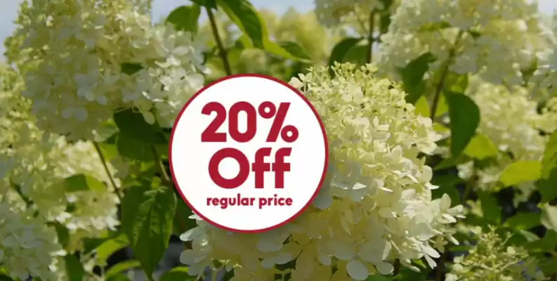 Sheridan Nurseries flyer (valid until 23-07)