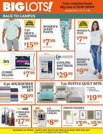 Big Lots Weekly Ad week 29 Page 1