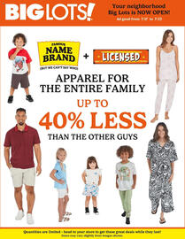 Big Lots Weekly Ad week 29 Page 3