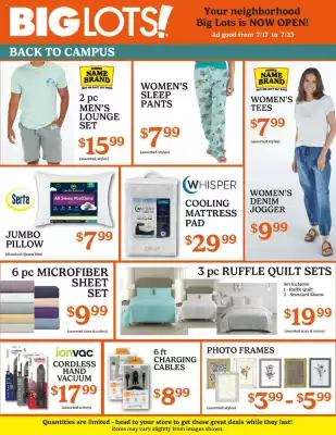Big Lots Weekly Ad