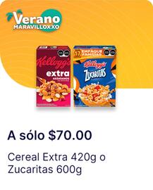 Catálogo OXXO Página 119