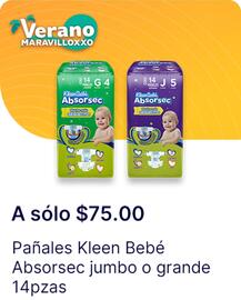 Catálogo OXXO Página 65