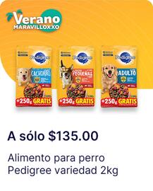 Catálogo OXXO Página 87