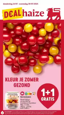 Delhaize folder