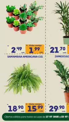 Catálogo Supermercados Avenida (válido até 23-07)