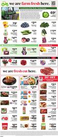 ShopRite Weekly Ad week 29 Page 9
