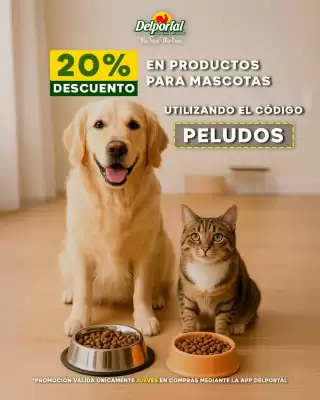 Catálogo Delportal Supermercados (válido hasta 20-07)