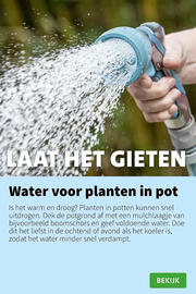 Intratuin folder week 30 Pagina 7