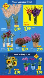 Lidl folder week 30 Pagina 16