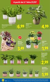 Folheto Lidl semana 30 Página 20