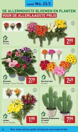 ALDI folder week 30 Pagina 28