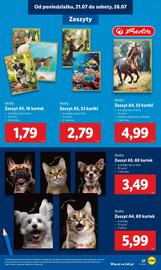 Lidl gazetka Strona 29
