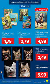 Lidl gazetka Strona 29
