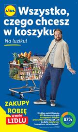 Lidl gazetka Strona 3