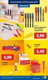 Lidl gazetka Strona 43