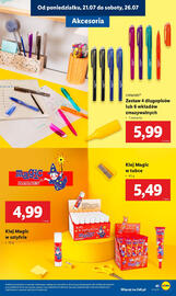 Lidl gazetka Strona 43