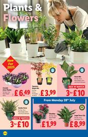 Lidl leaflet week 30 Page 22