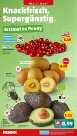 PENNY Prospekt woche 30 Seite 2