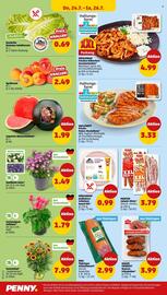 PENNY Prospekt woche 30 Seite 28