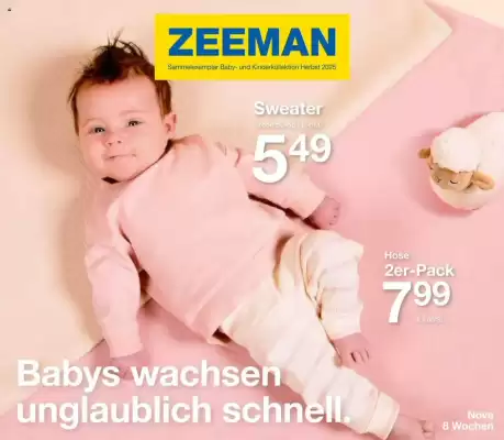 Zeeman Prospekt (gültig bis 31-12)