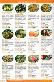 Catalogue Magellan page 20