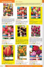 Catalogue Magellan page 8