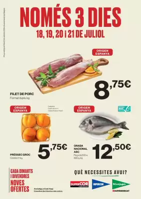 Folleto El Corte Inglés (válido hasta el 21-07)