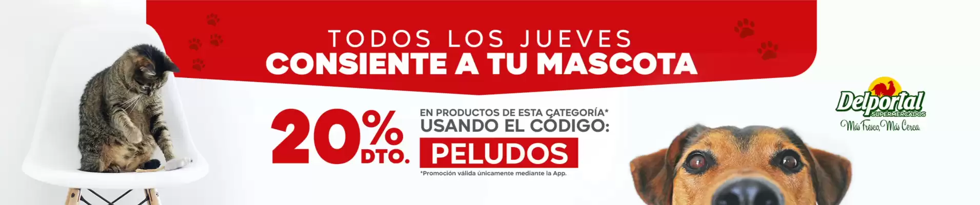 Catálogo Delportal Supermercados (válido hasta 31-07)