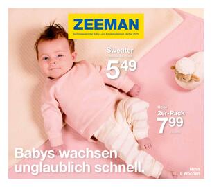 Zeeman Flugblatt Seite 1