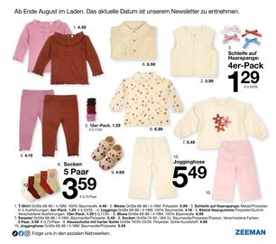 Zeeman Flugblatt Seite 23