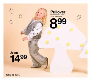 Zeeman Flugblatt Seite 30