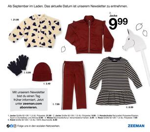 Zeeman Flugblatt Seite 33