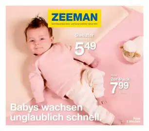 Zeeman Flugblatt Seite 1
