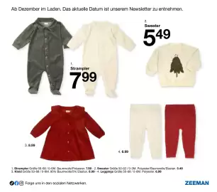 Zeeman Flugblatt Seite 17