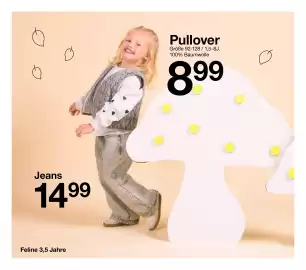 Zeeman Flugblatt Seite 30