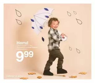 Zeeman Flugblatt Seite 36