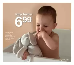 Zeeman Flugblatt Seite 9