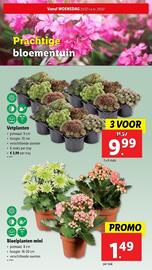 Lidl folder week 30 Pagina 29