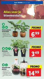 Lidl folder week 30 Pagina 43