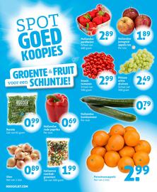Hoogvliet folder week 30 Pagina 8