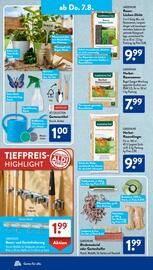Aldi Süd Prospekt woche 32 Seite 8