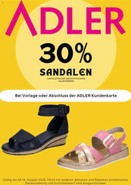 Adler Prospekt Seite 1