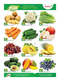 Shaklan catalogue Page 2
