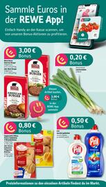 REWE Prospekt woche 30 Seite 2
