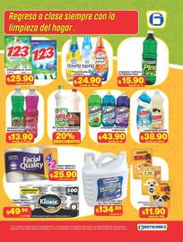 Catálogo Super Gutiérrez semana 29 Página 7